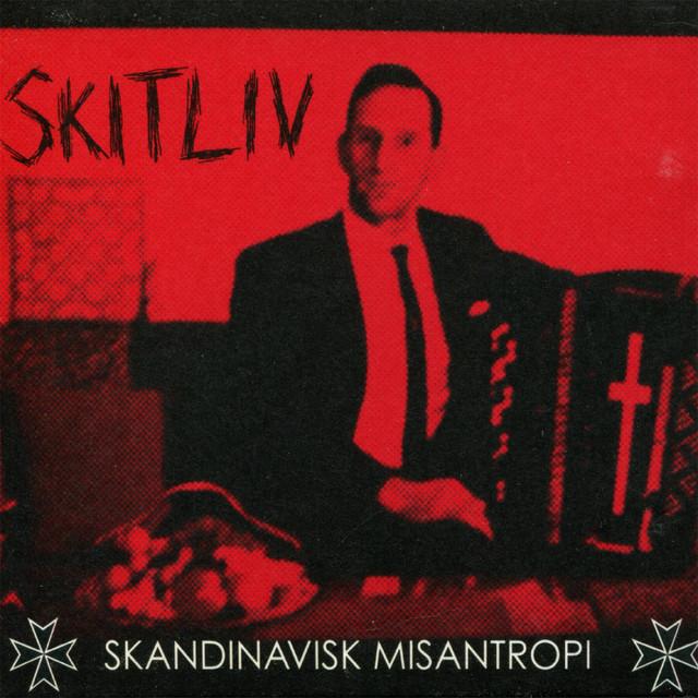 Skitliv