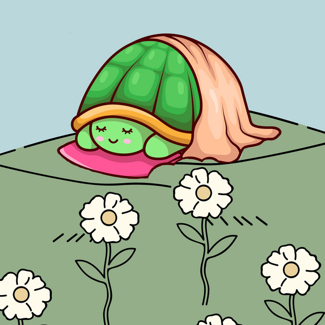 Sleeping Tortoise