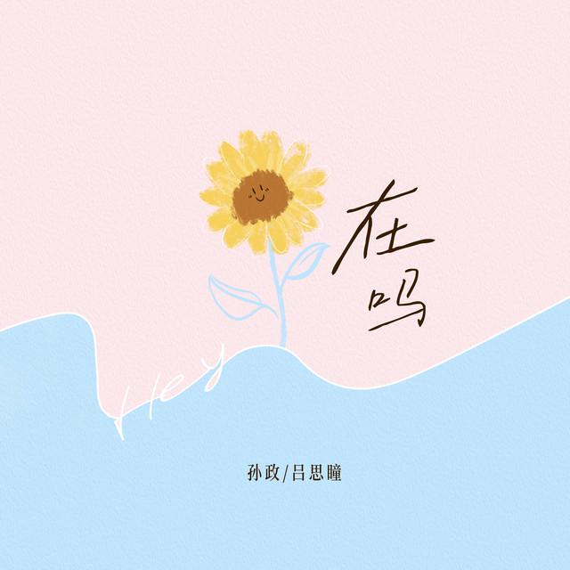 孙政