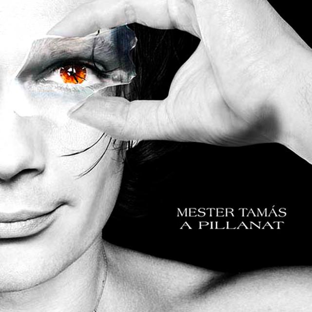 Tamas Mester