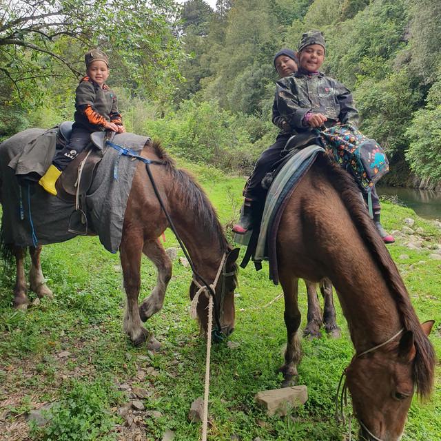 Te mauri Amoroa VALLEY HUNTER