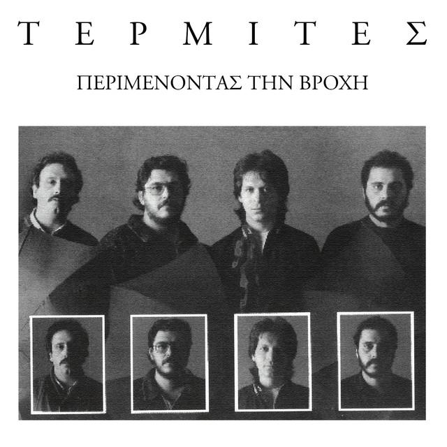 Termites