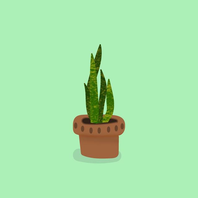 terrarium.