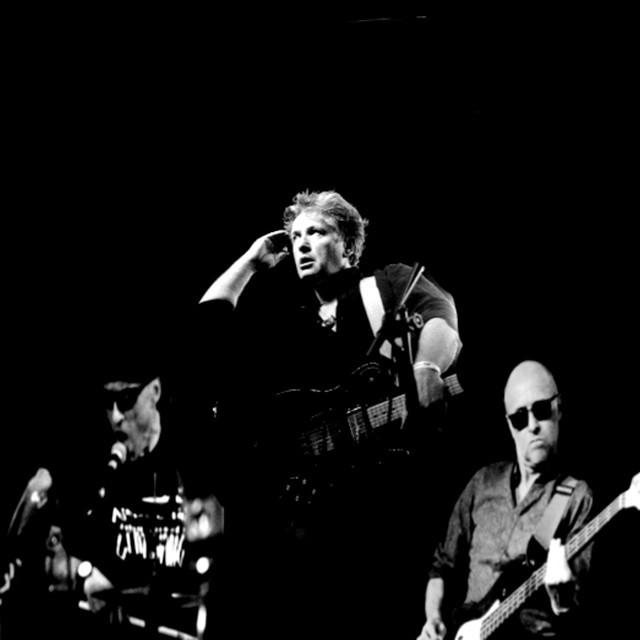 The Bristol Stingrays