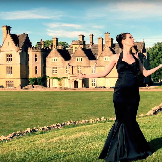 The Commander-In-Chief