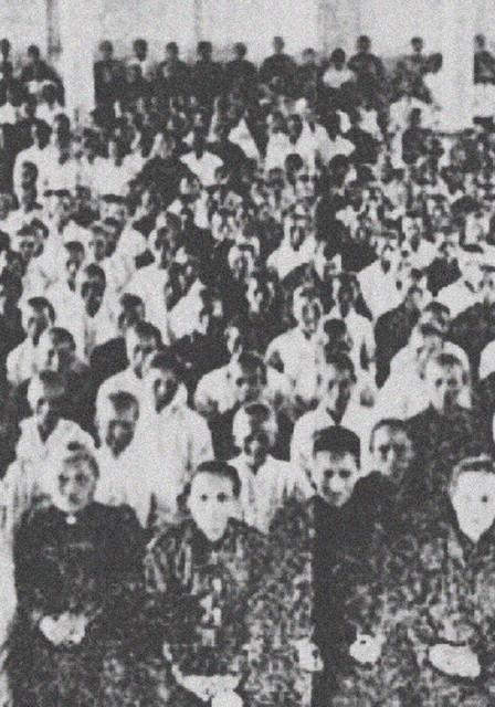 The Trees & The Wild