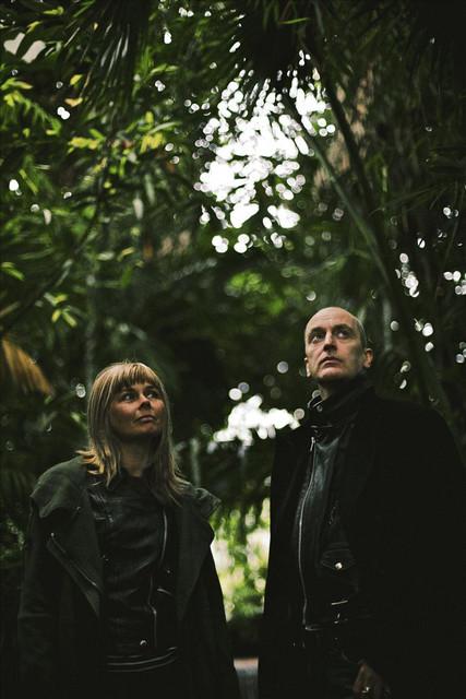 The Vaselines