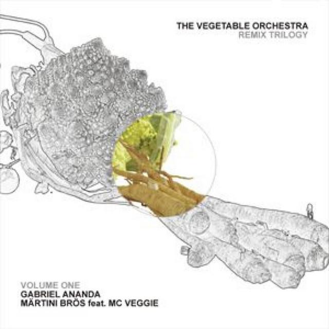 The Vegetable Orchestra