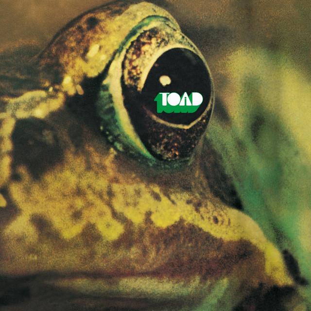 Toad Fireworks TOad - Songs, Events and Music Stats | Viberate.com