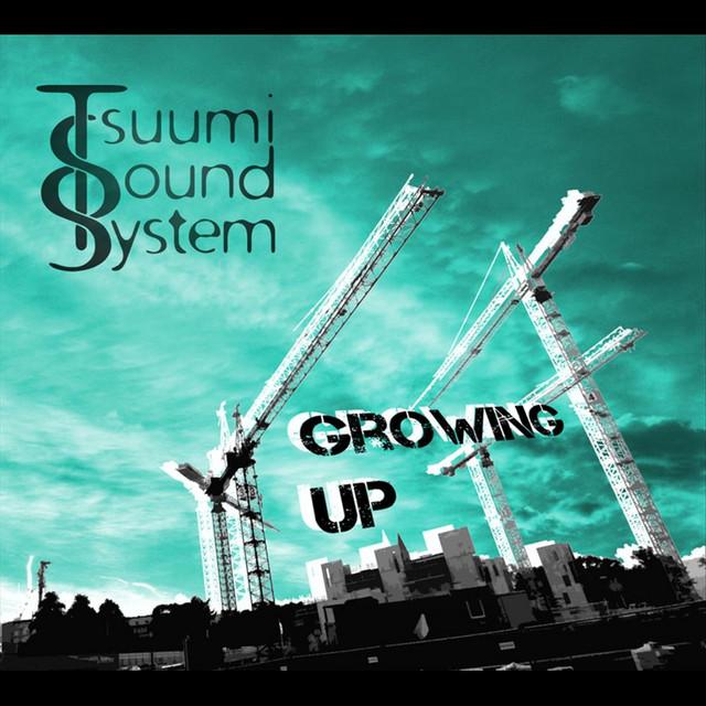 Tsuumi Sound System