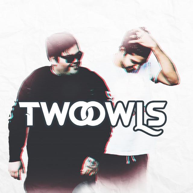 Two Owls