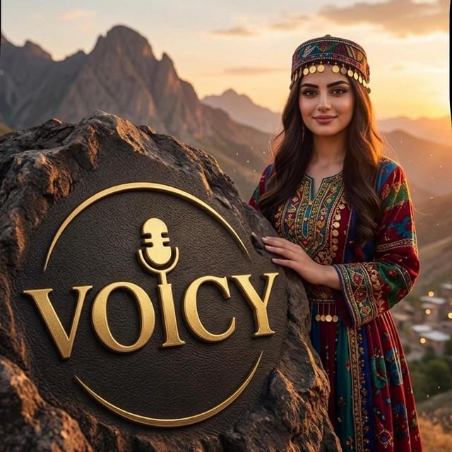 Voicy Records