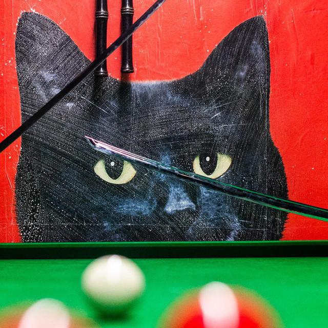 Wacky Blues Professors