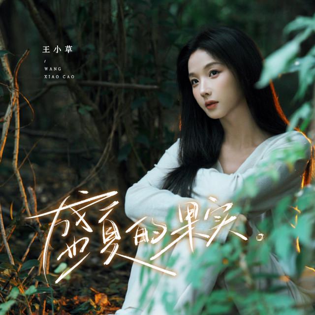 王小草