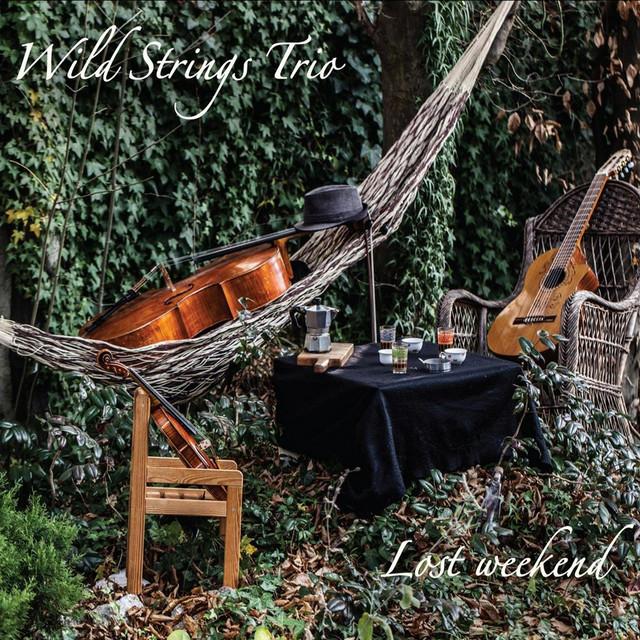 Wild Strings Trio