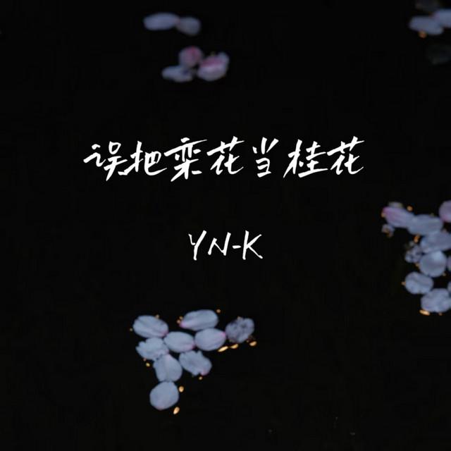 YN-K