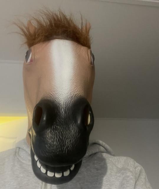 Young Plüh
