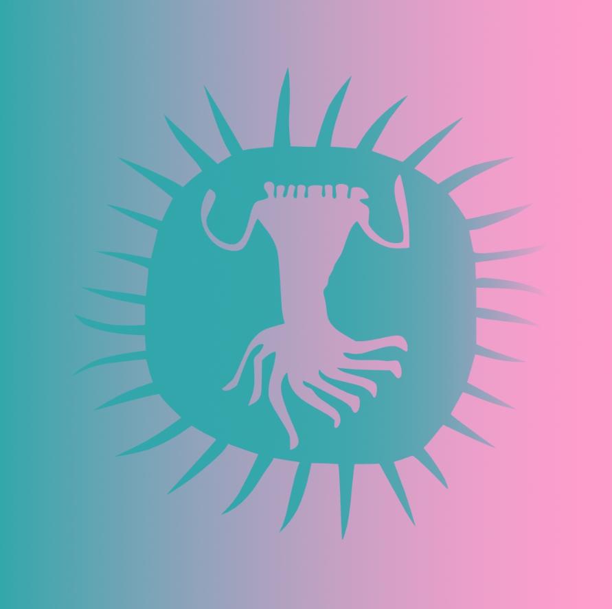 AfrikaBurn
